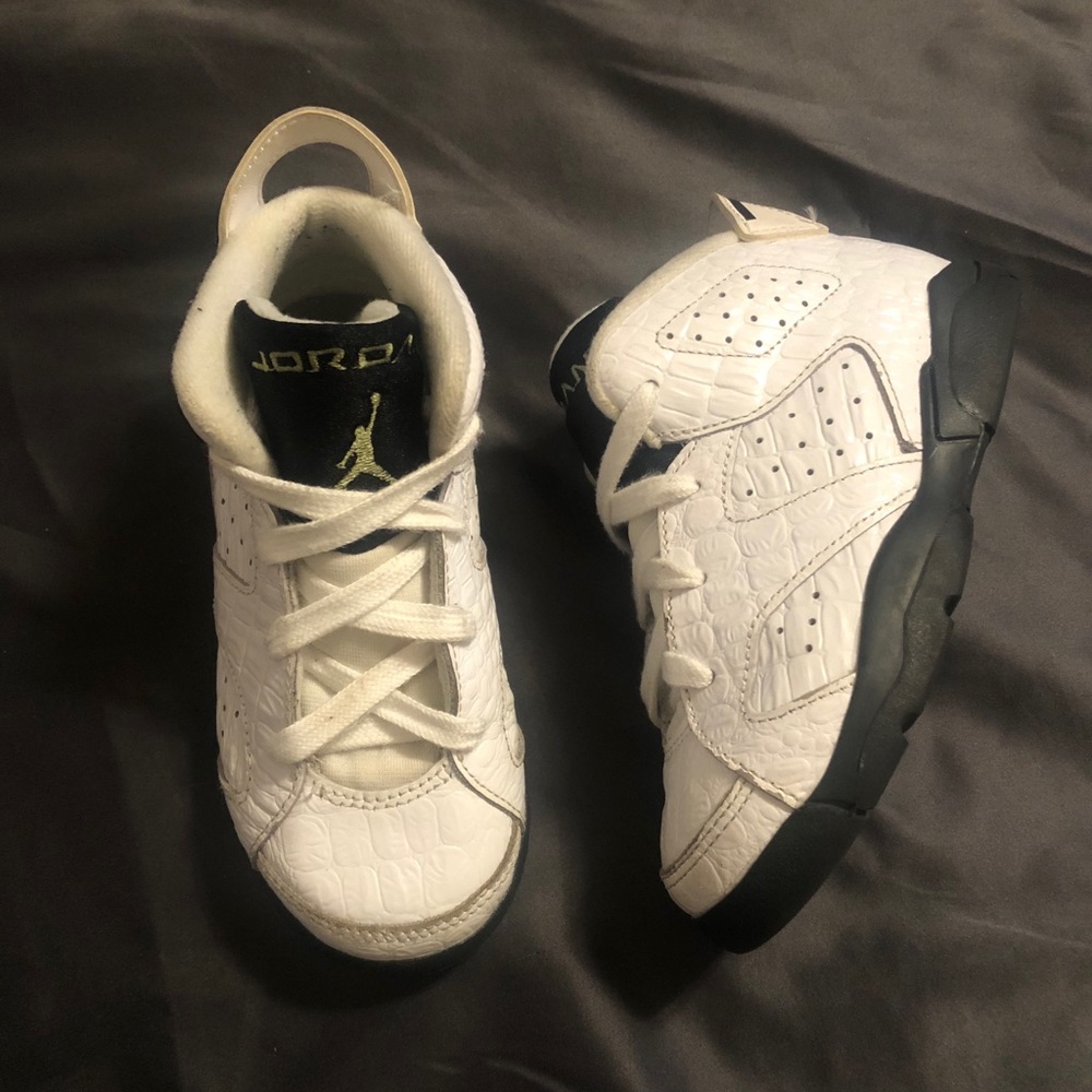 Air Jordan Snakeskin 6s